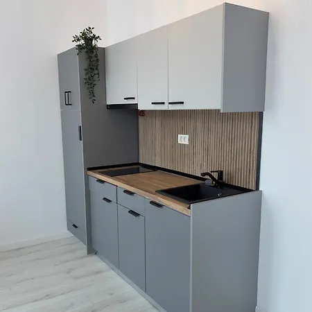 Apartment Manu Bucharest